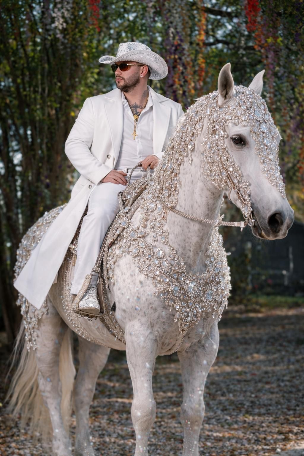 DCA - Content Creation